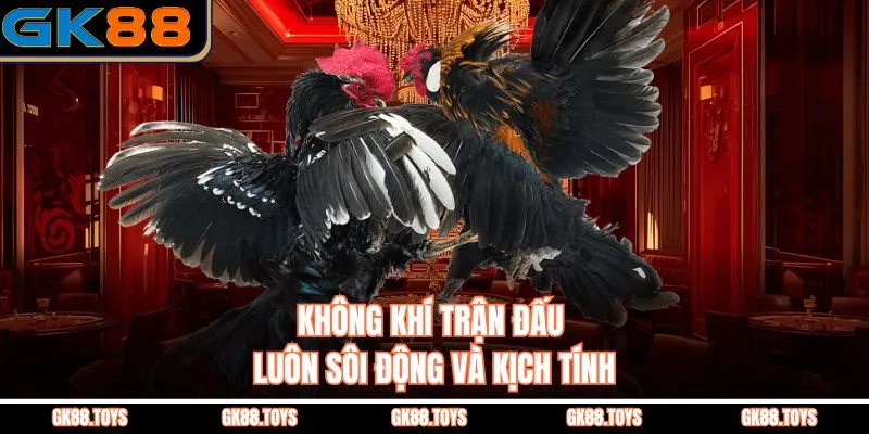 Không khí trận đấu luôn sôi động và kịch tính